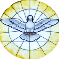 The Everyday Evangelist, Navigating Hostility Part 2: The Traumatized