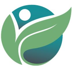 Developing Graphic Abstracts: Tips and Issues