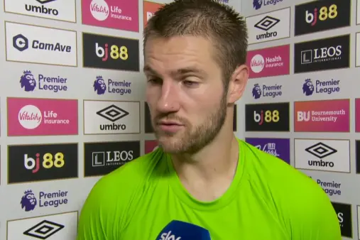 AFC Bournemouth VS Fulham FC Highlight