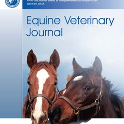 EVJ in Conversation Podcast, No. 65, BEVA Congress News: Surgery - David Stack