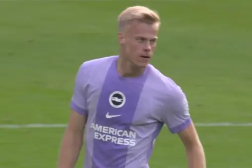 Wolverhampton Wanderers VS Brighton & Hove Albion Highlight
