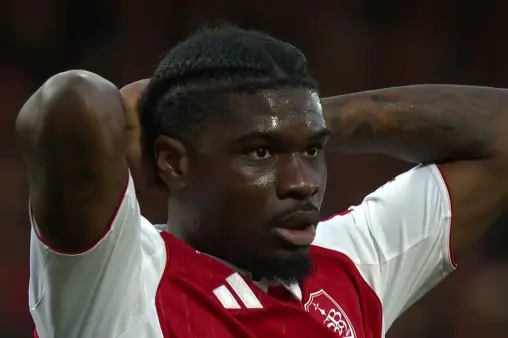 Brest VS Nantes Highlight