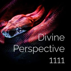 Divine Perspective 1111