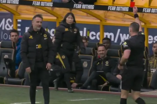 Wolverhampton Wanderers VS Brighton & Hove Albion Highlight