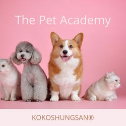 Dog training – the basic commands