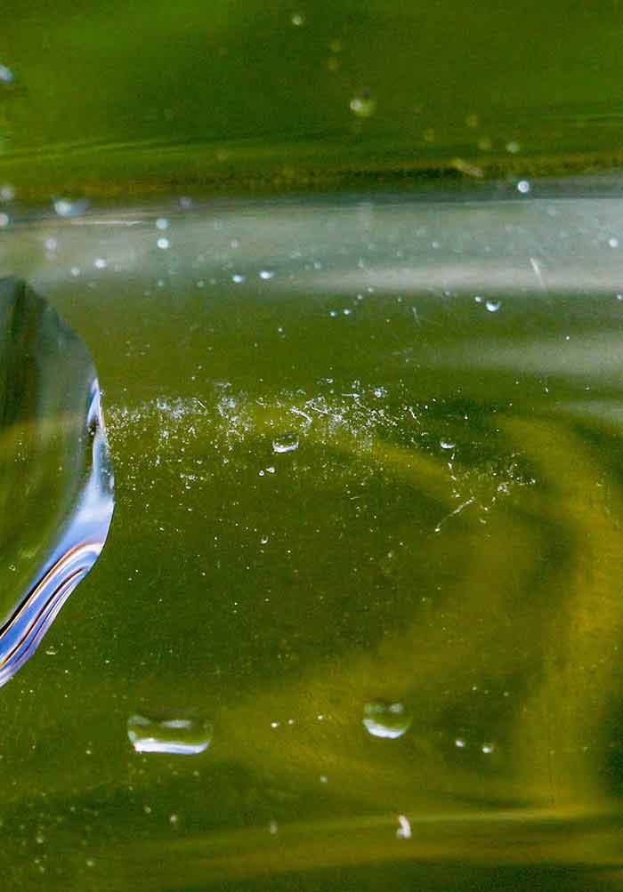 Plastics in the Environment
