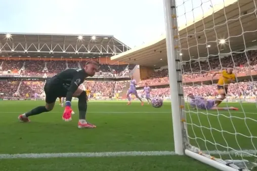 Wolverhampton Wanderers VS Brighton & Hove Albion Highlight