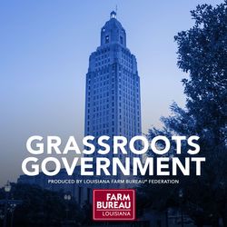 Grassroots Government - Ep. 12 - 6-8-20
