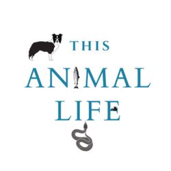 Introducing This Animal Life