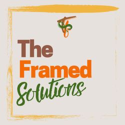 The Framed Solutions