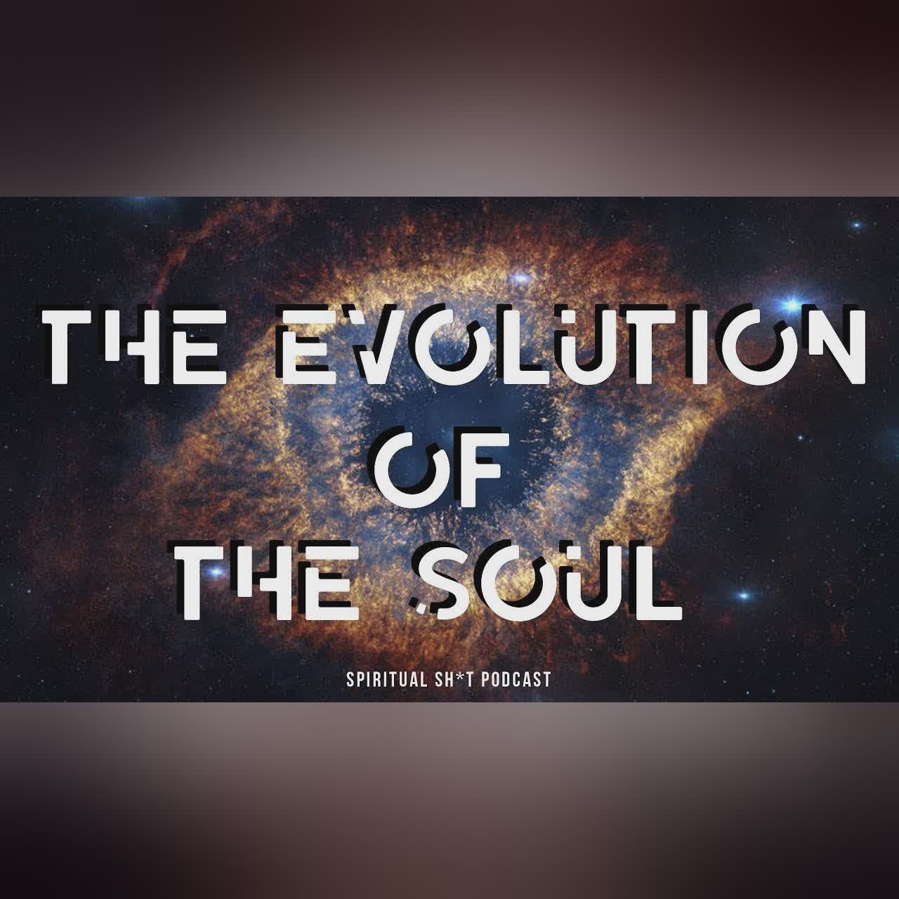 Jesus And The Law Of One // The Reality Revolution Podcast
