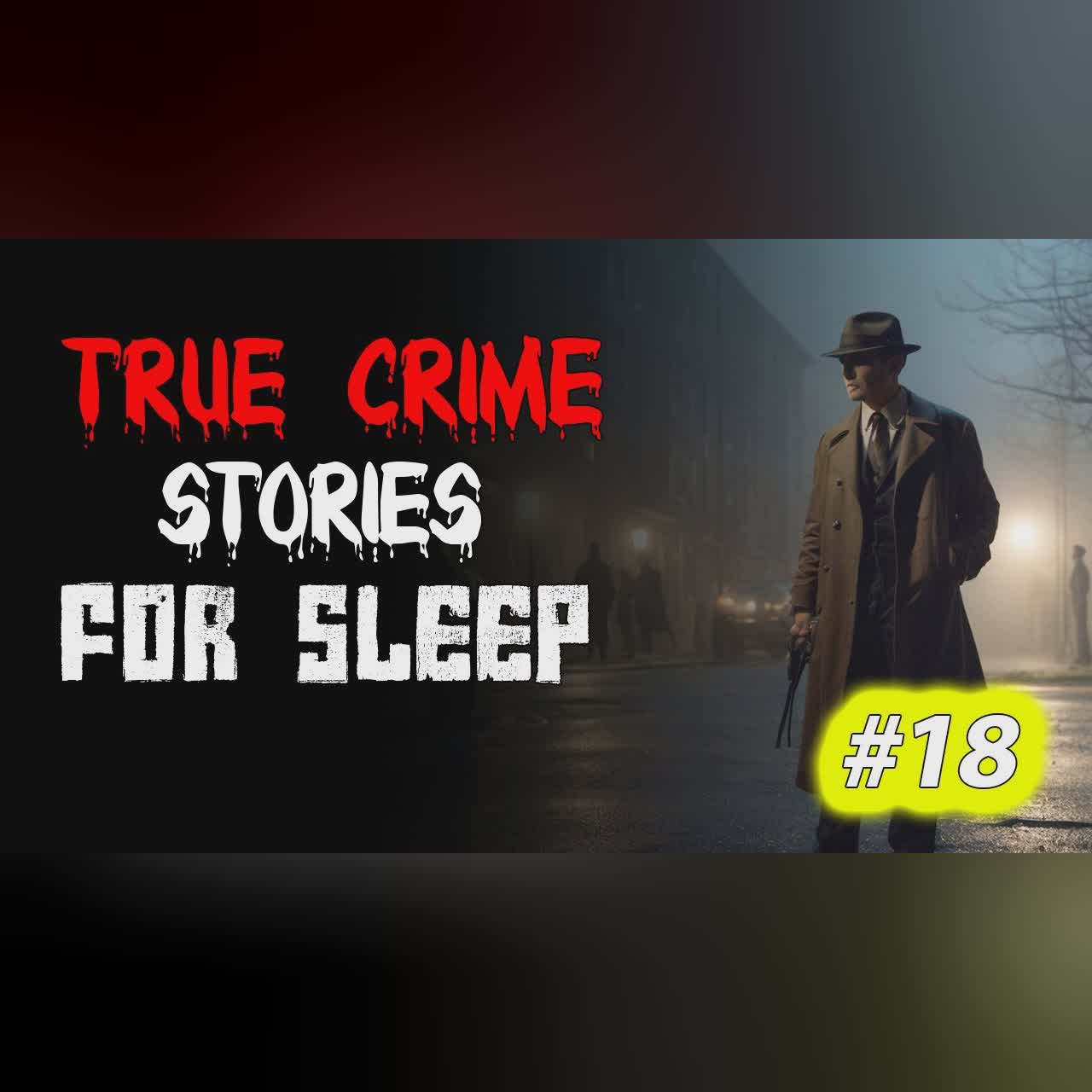 True crime Stories Told to the Sound of Rain | Relax and Fall Asleep Quickly Vol. 18 l Black Screen