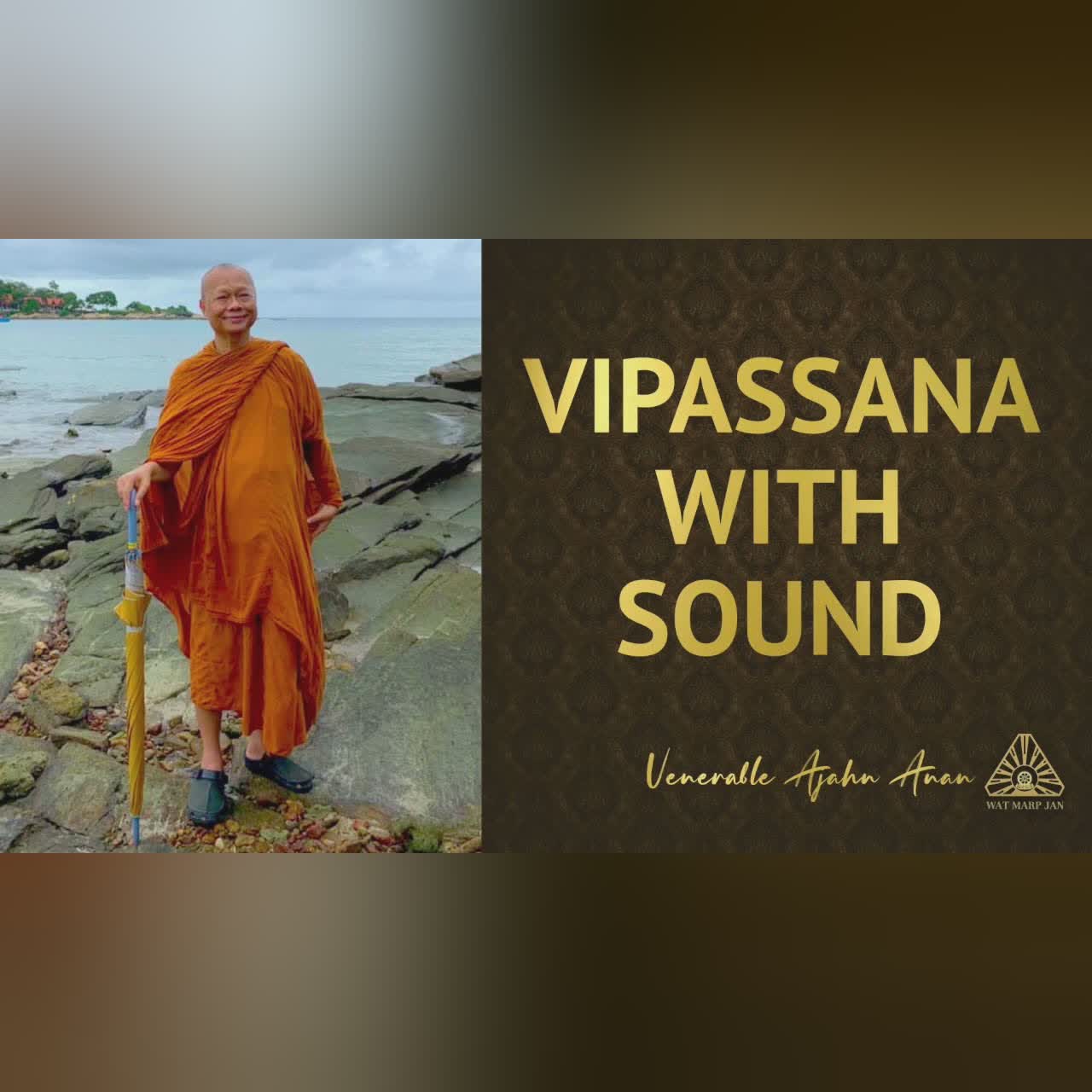 The X-Ray Vision Of Vipassanā | Ajahn Anan | 11 June 2022