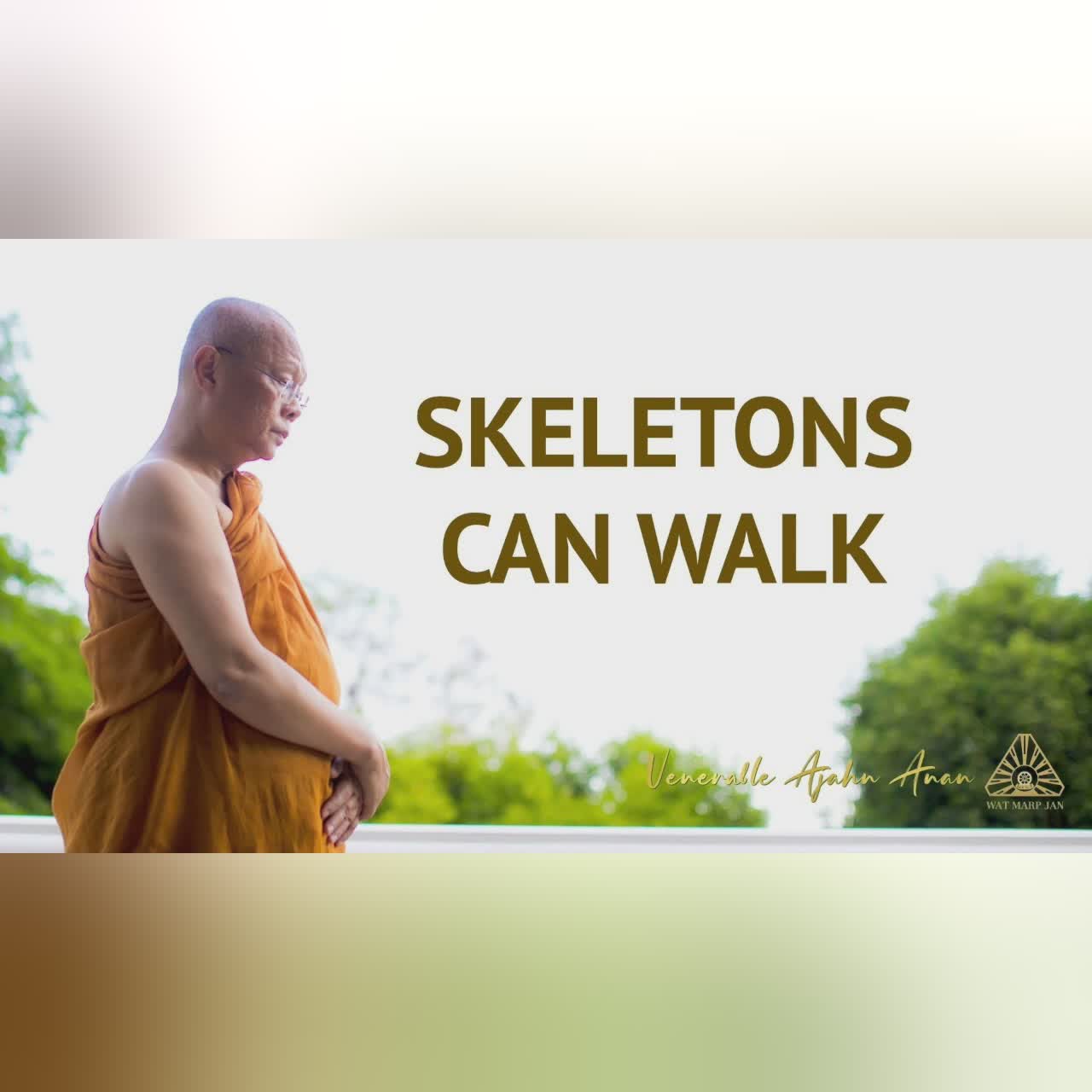 Seeing the Buddha, Dhamma & Sangha as One | Ajahn Anan | 21 July 2022