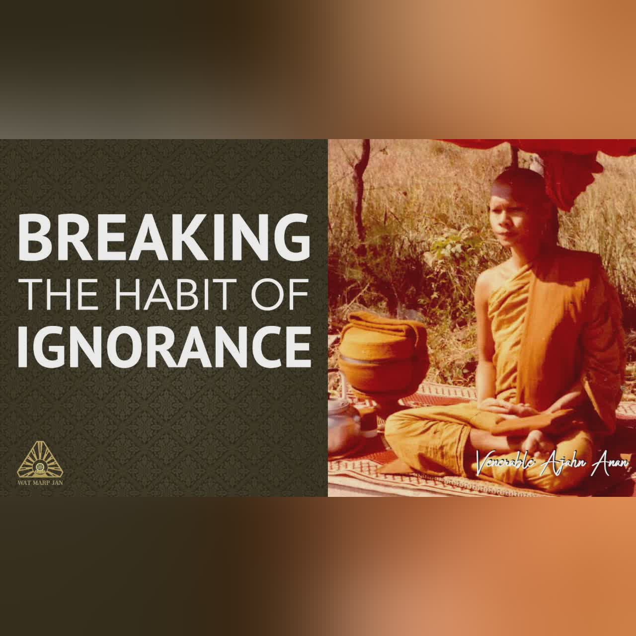 Breaking the Habit of Ignorance | Ajahn Anan | 28 Aug 2021