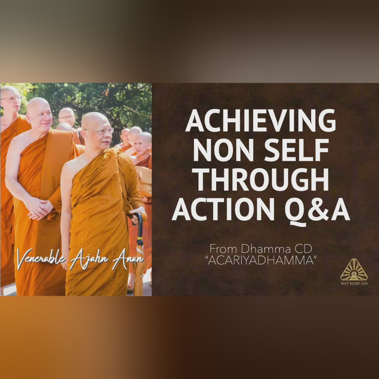 ACARIYADHAMMA: Achieving Non Self Through Action Q&A | Ajahn Anan