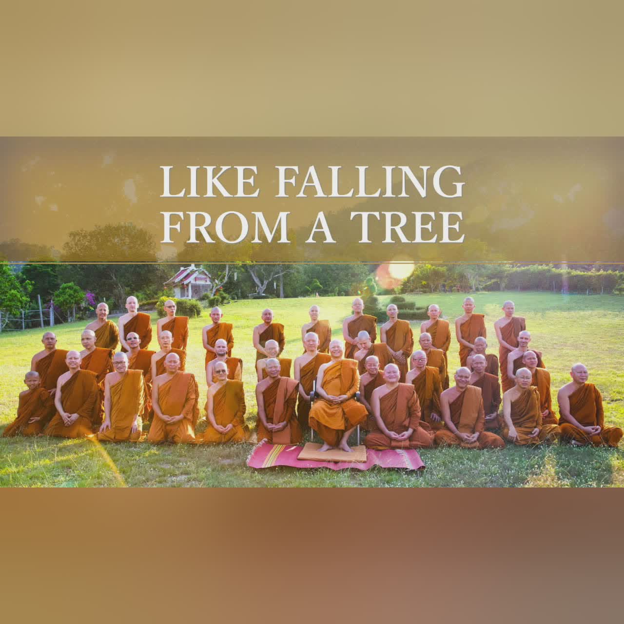 Like Falling from a Tree | Ajahn Anan
