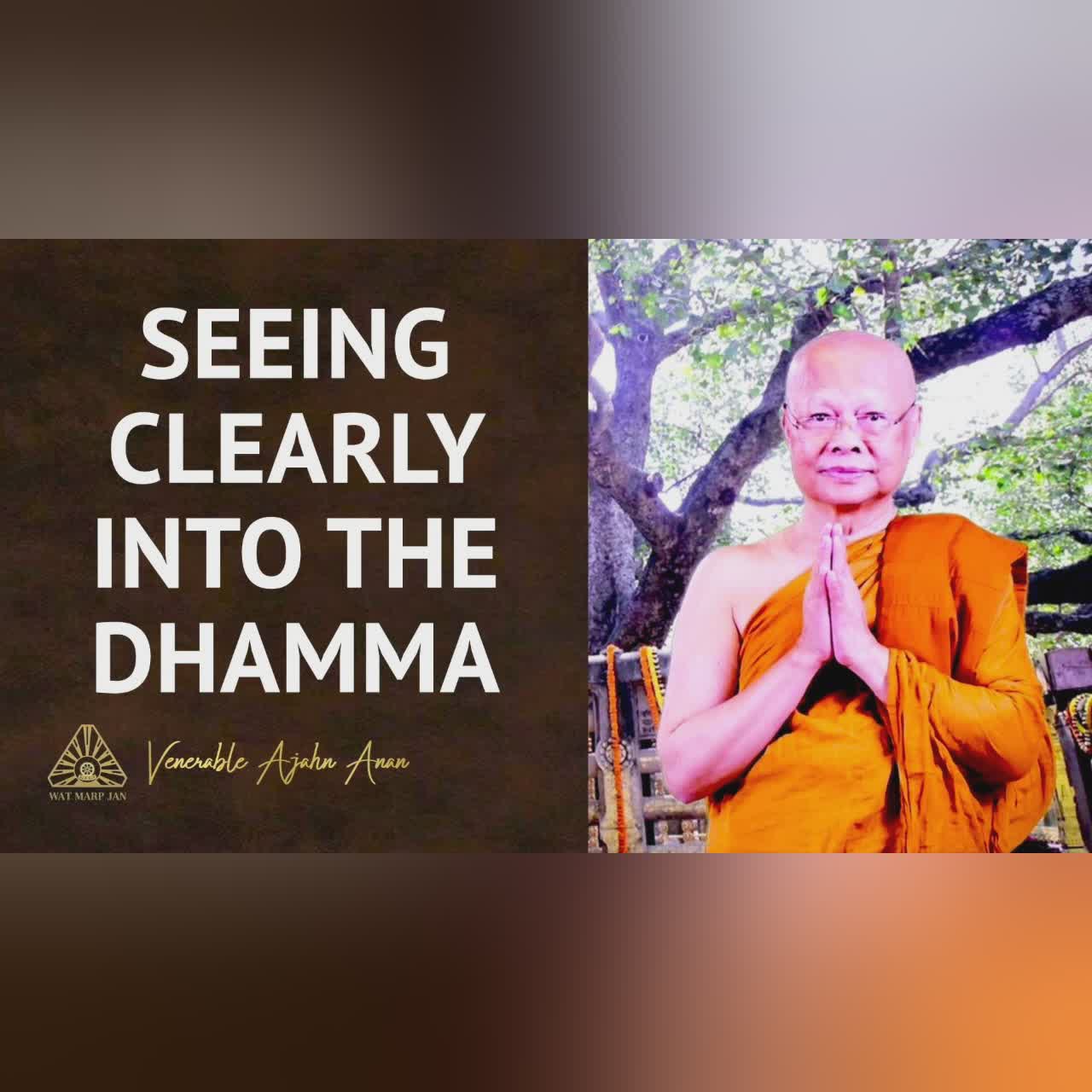Seeing Through the Mind's Illusions | Ajahn Anan | 02 Mar 2022