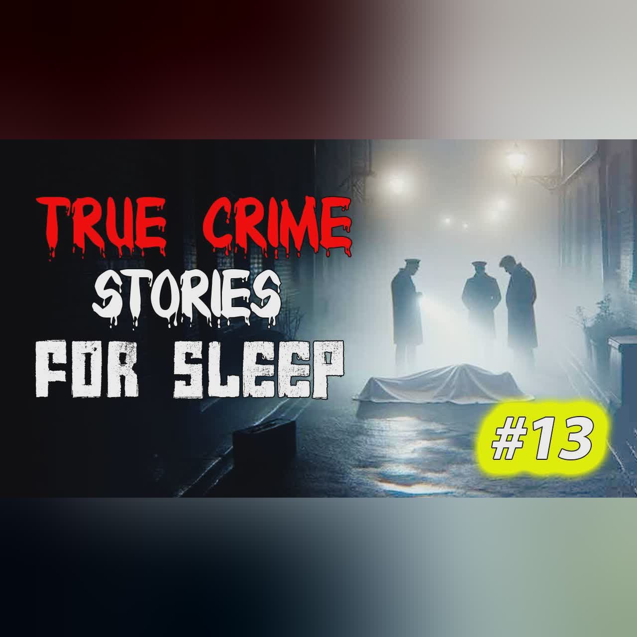 True crime Stories Told to the Sound of Rain | Relax and Fall Asleep Quickly Vol. 13 l Black Screen