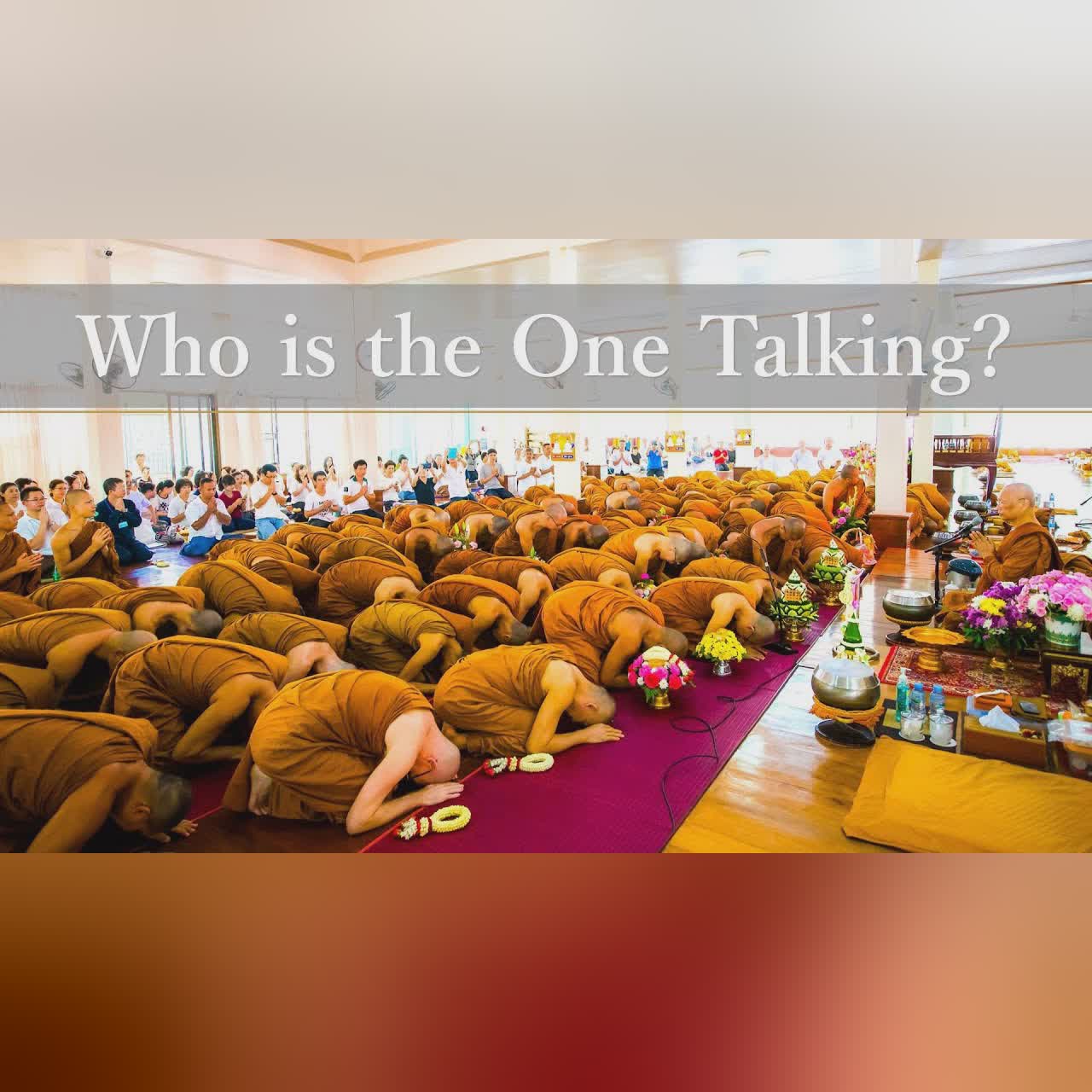 Experiencing the World with Wisdom | Ajahn Anan