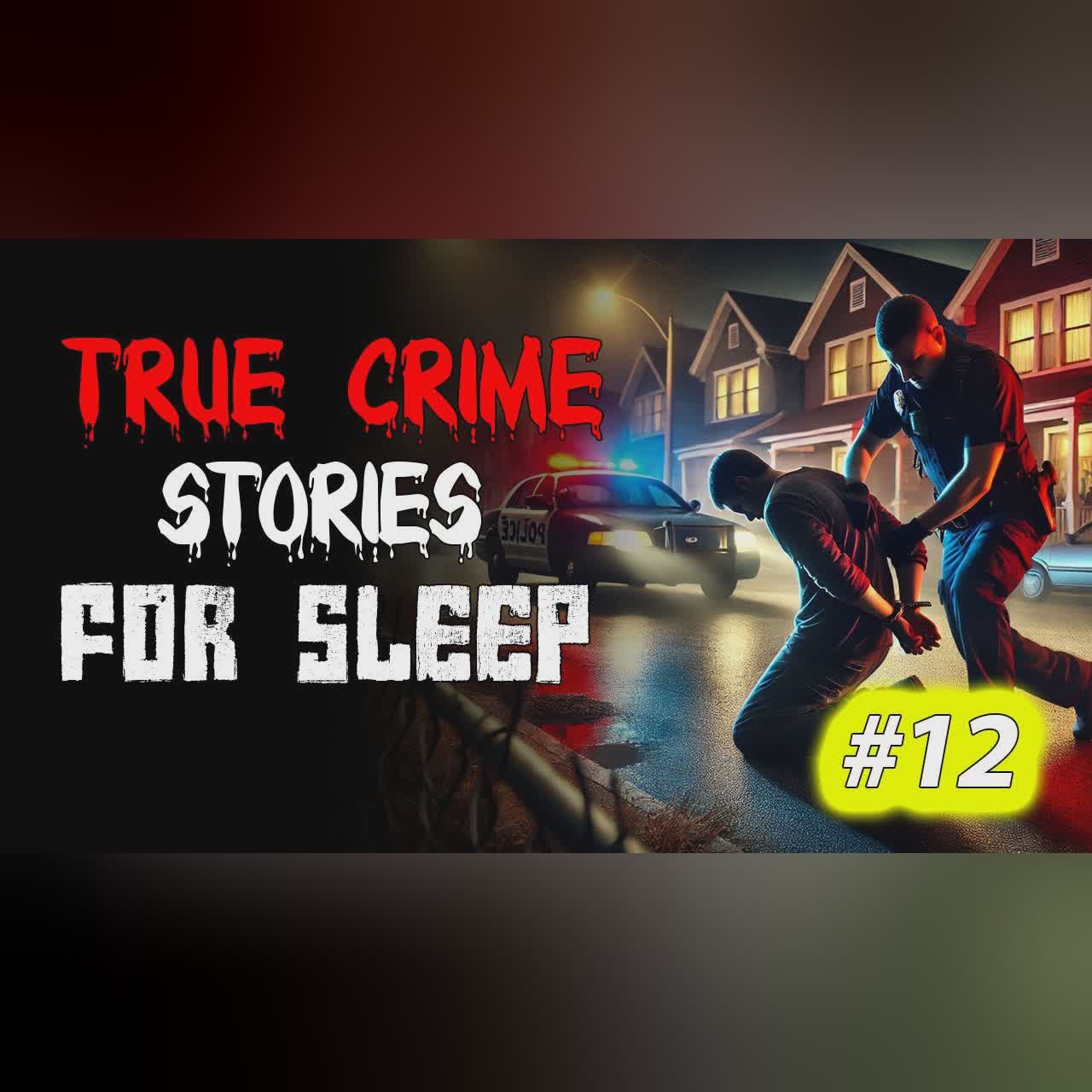 True crime Stories Told to the Sound of Rain | Relax and Fall Asleep Quickly Vol. 12 l Black Screen