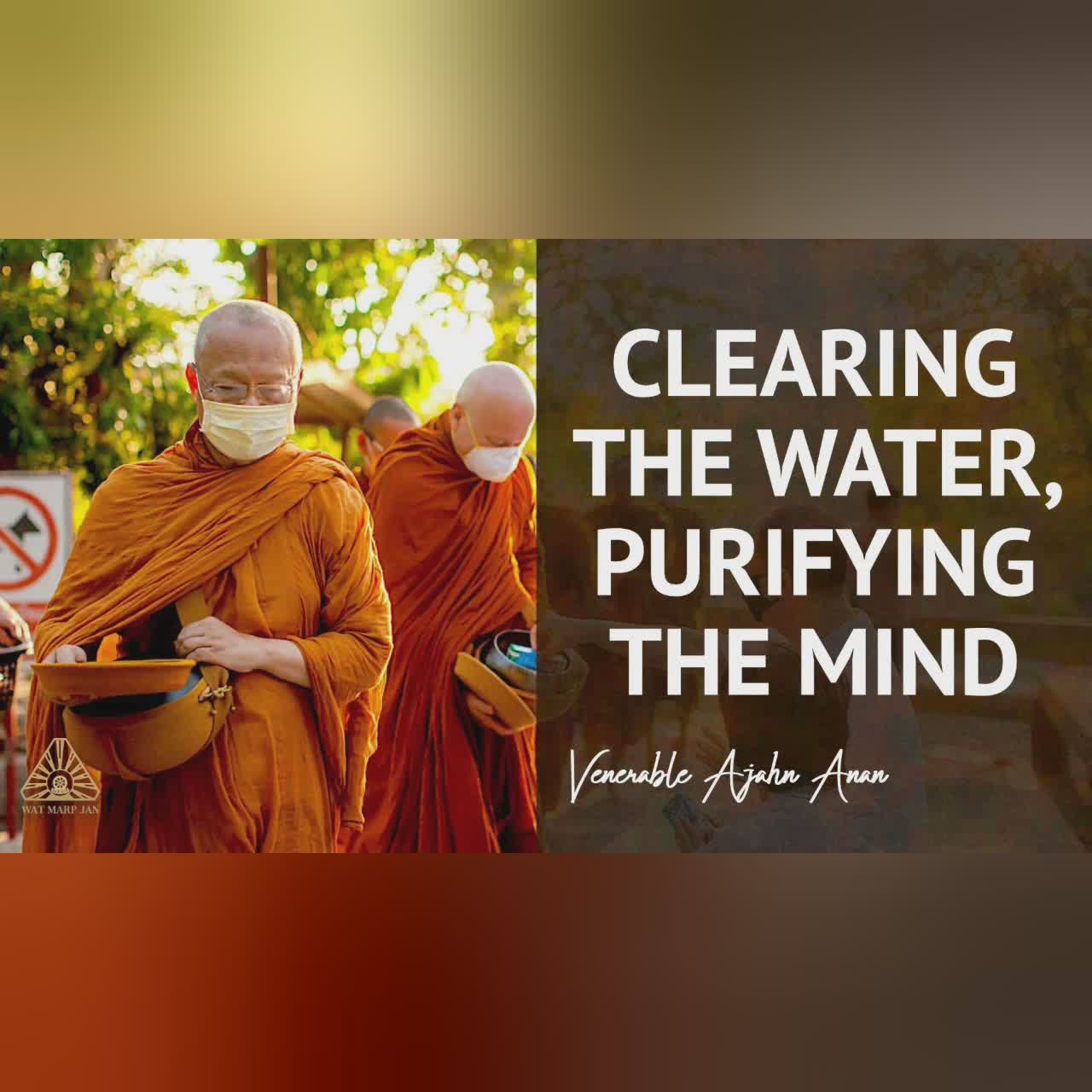 Peace Beyond Prejudice | Ajahn Anan | 10 Jun 2020
