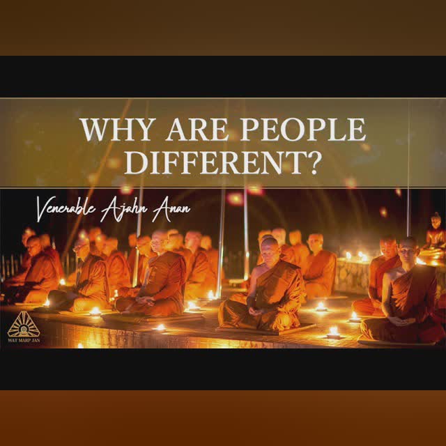 Countless Lifetimes in a Day | Ajahn Anan