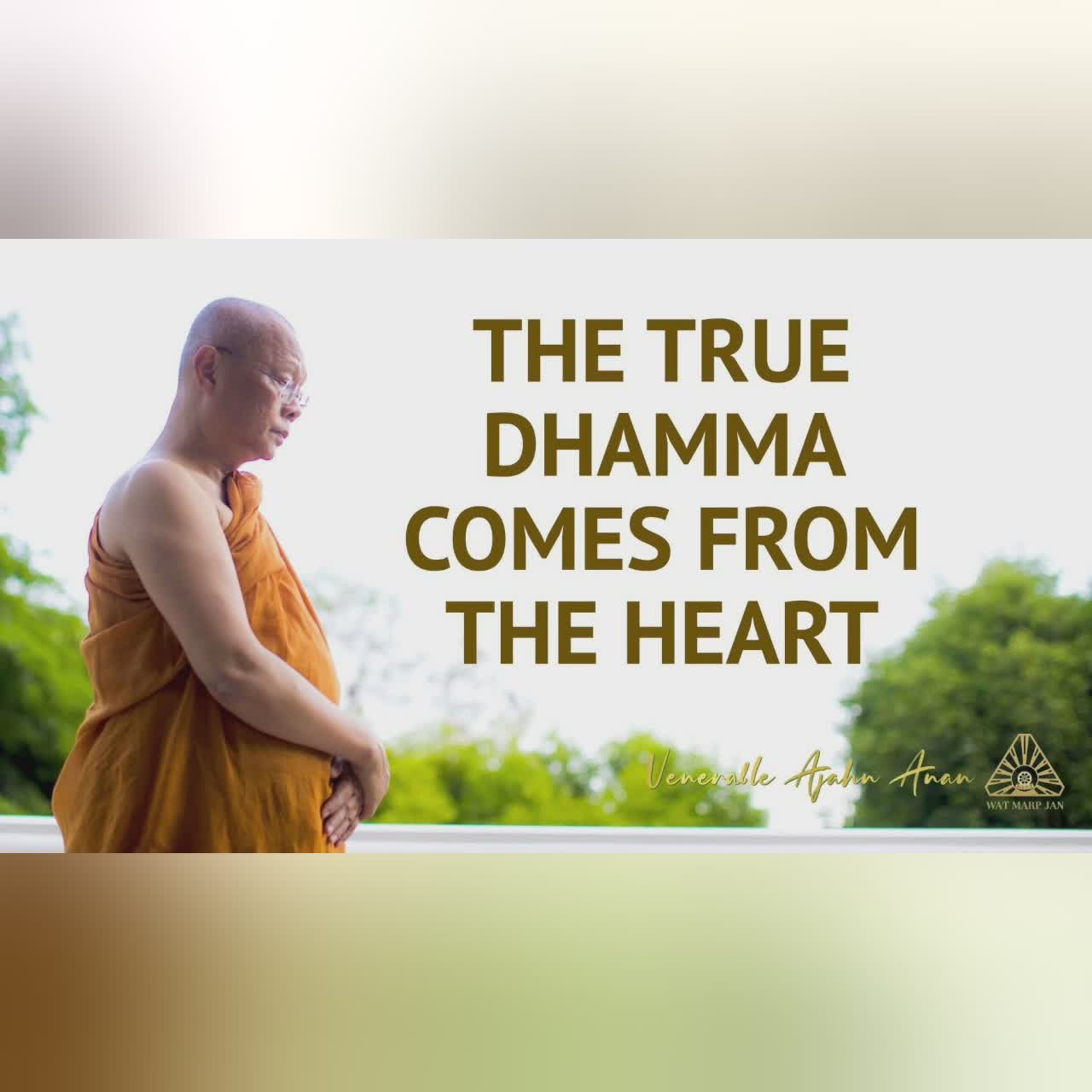 The True Dhamma Comes from the Heart | Ajahn Anan | 09 July 2022