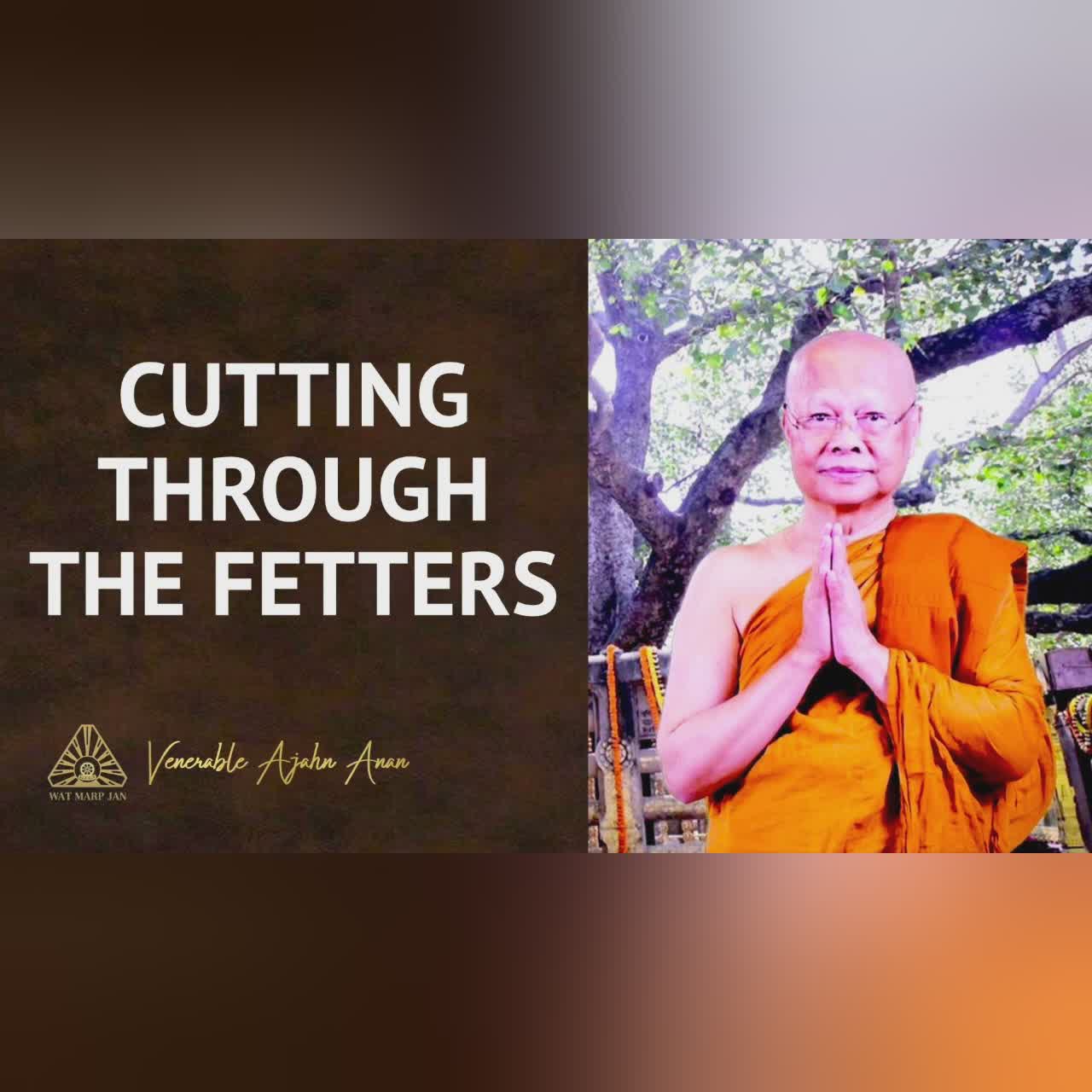 Mindfulness & Rebirth | Ajahn Anan | Online Retreat 2022 | Day-5 Q&A