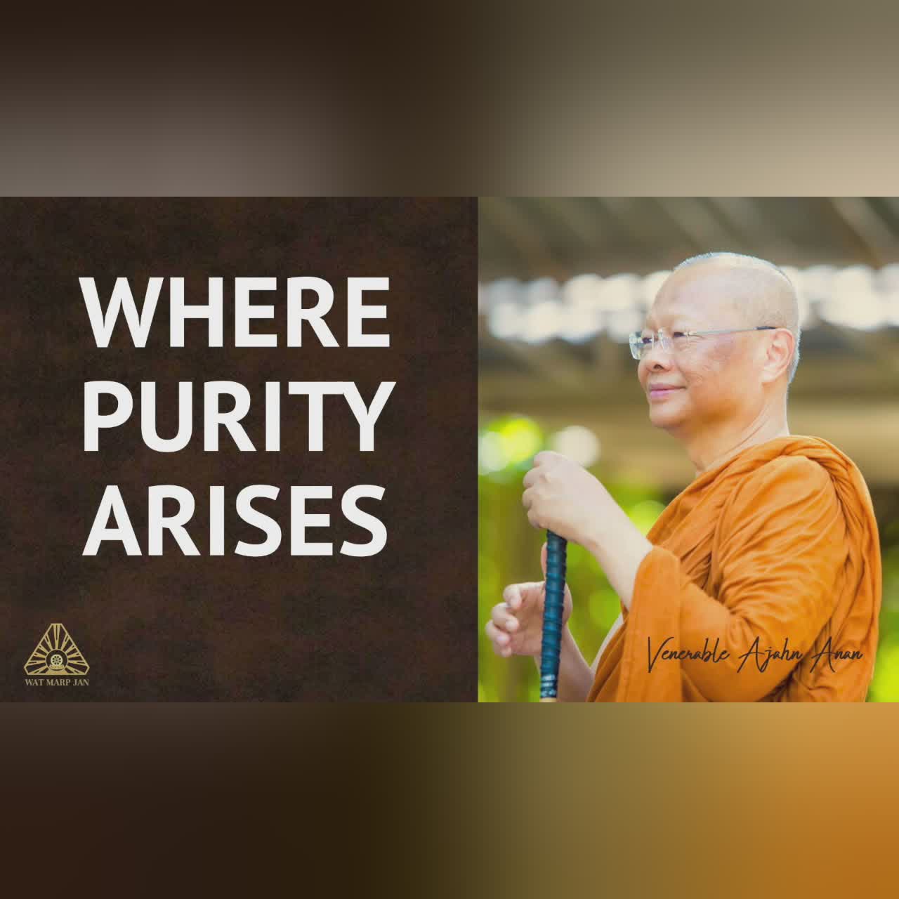 The Rarity of a Sincere Meditator | Ajahn Anan | 18 Sep 2021