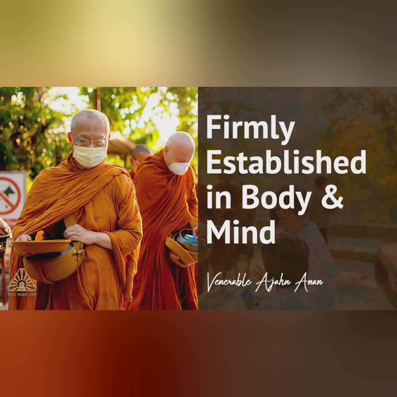 Firmly Established in Body & Mind | Ajahn Anan | 31 Mar 2020