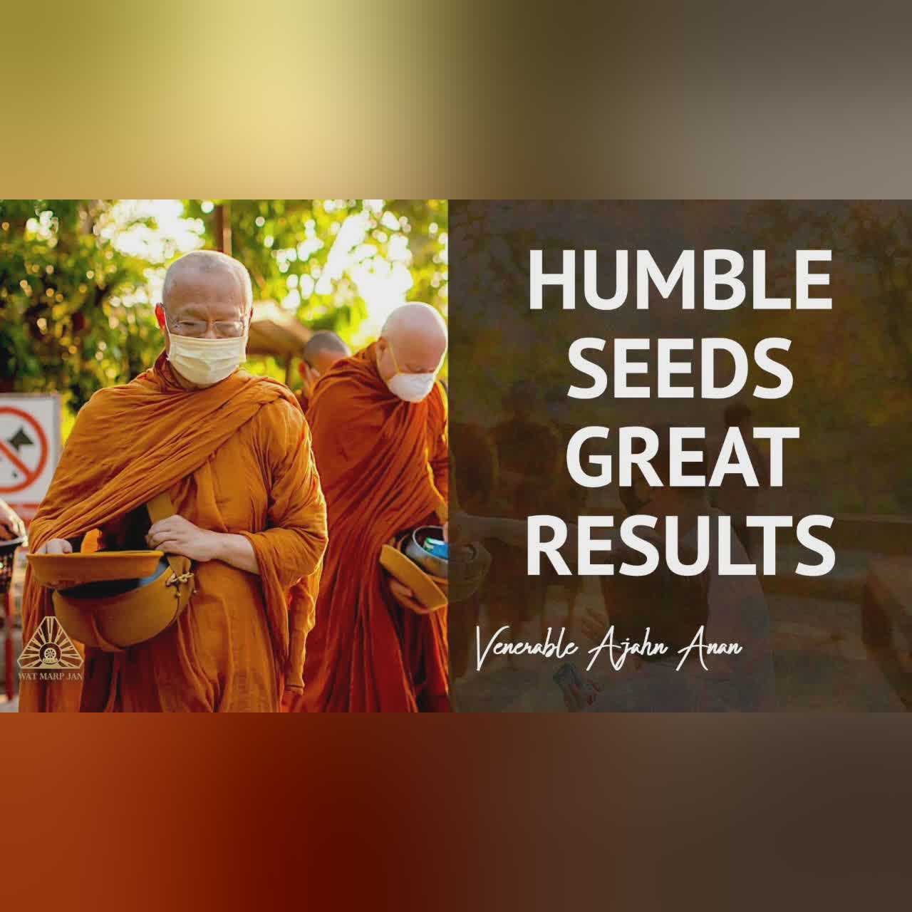 Shopping or Death? | Ajahn Anan | 01 Jun 2020