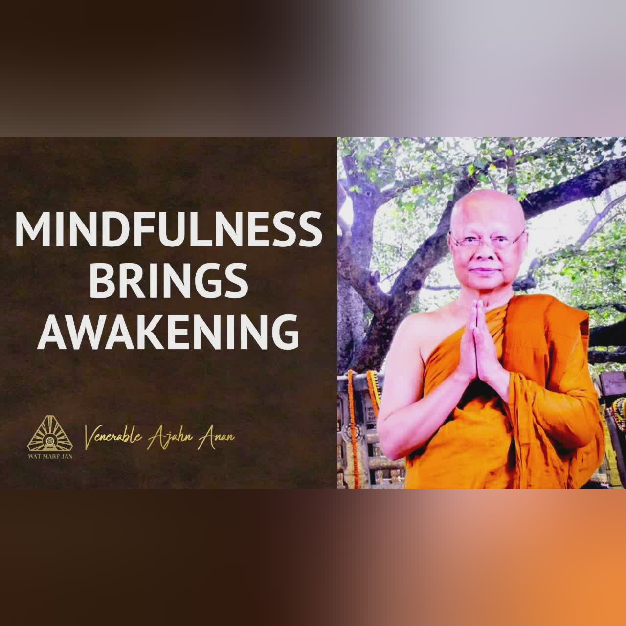 Pulling Apart & Reassembling Our Bodies | Ajahn Anan | 16 Mar 2022