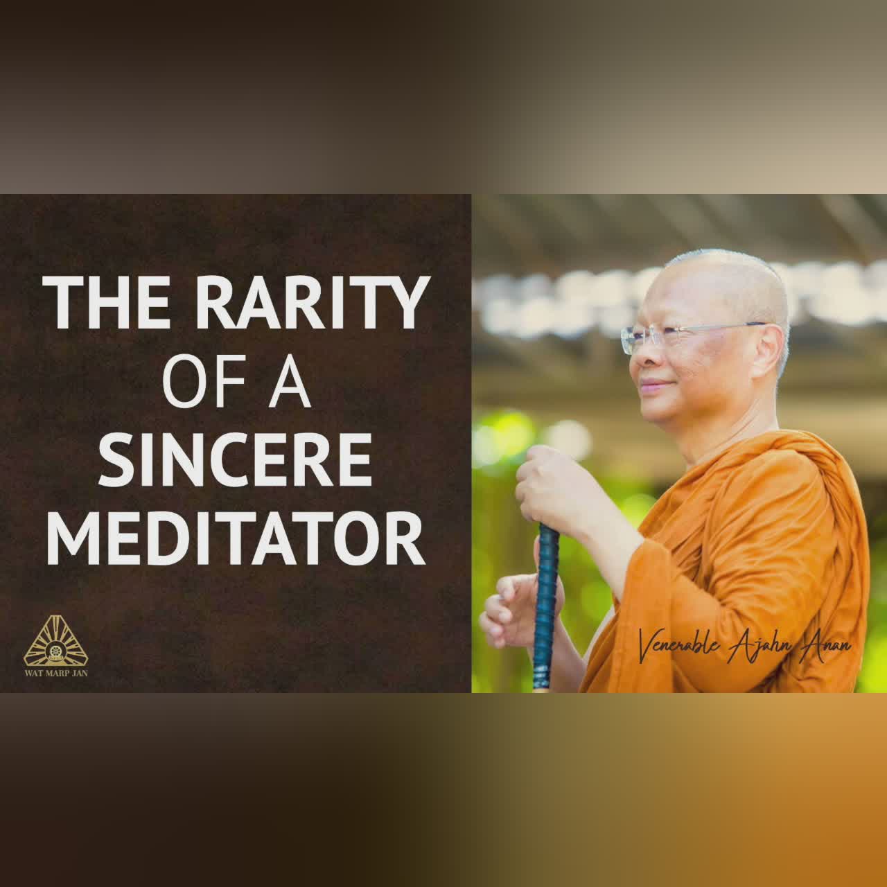 What Our Minds Are Really Like | Ajahn Anan | 14 Sep 2021