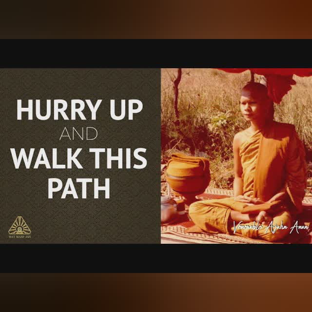 Hurry Up and Walk this Path | Ajahn Anan | 10 Aug 2021