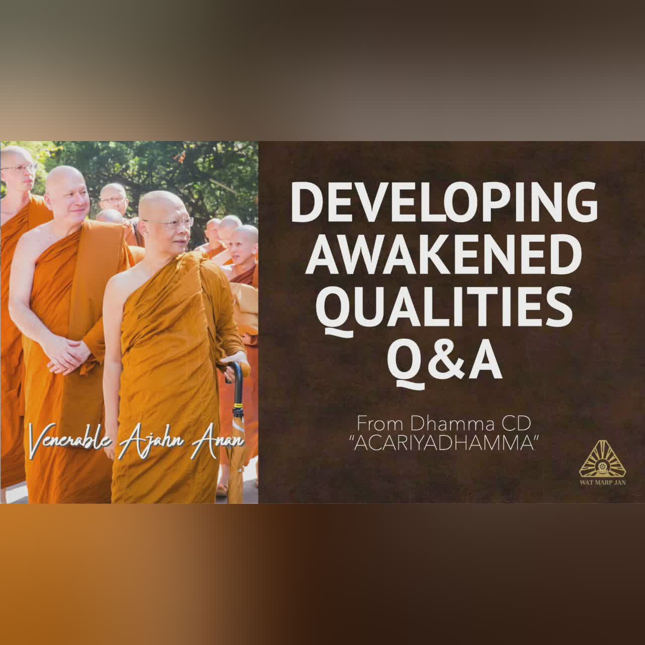 ACARIYADHAMMA: Developing Awakened Qualities Q&A | Ajahn Anan