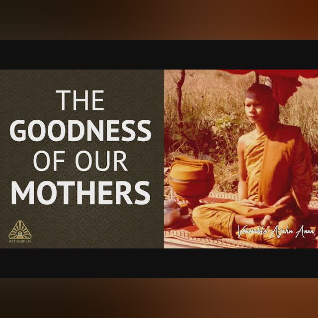 Our Great Good Fortune | Ajahn Anan | 11 Aug 2021