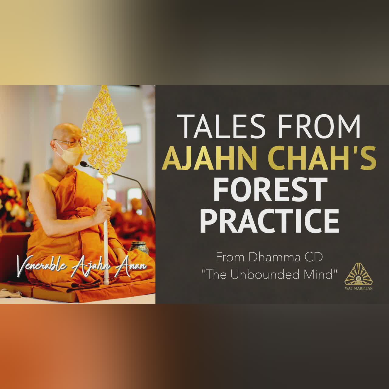 The Unbounded Mind: What the Mind Chases After | Ajahn Anan