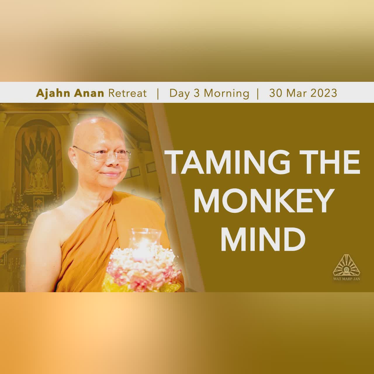 Determination and Perseverance | Online Retreat Mar 2023 | Day-2 Afternoon | Ajahn Ñāniko