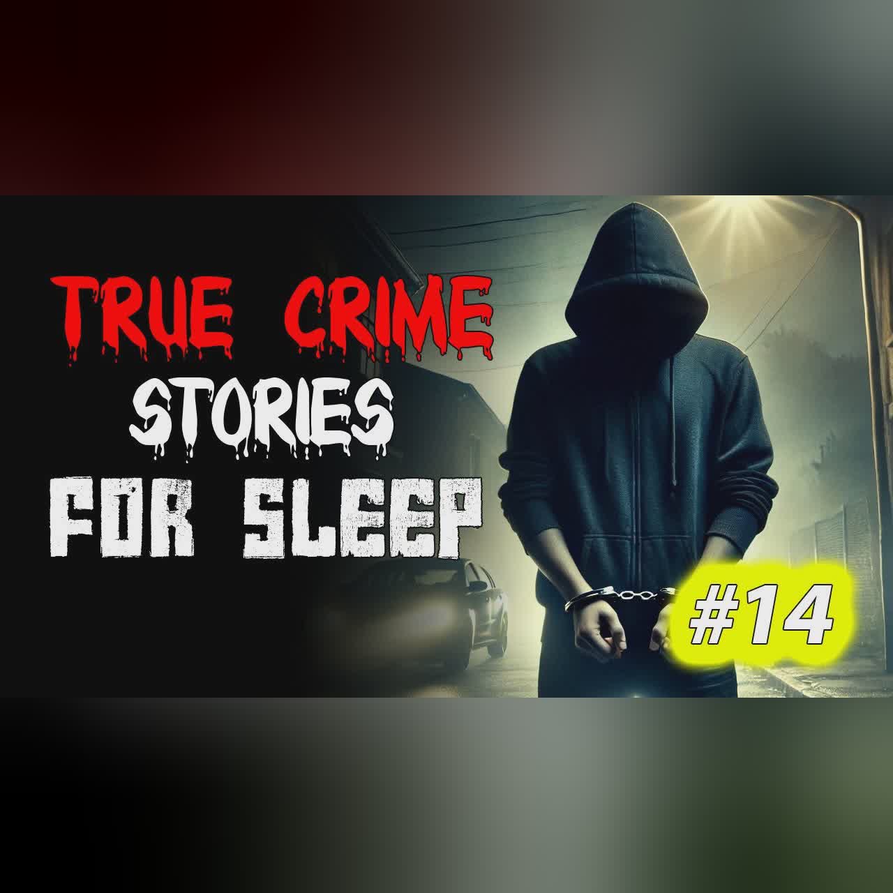 True crime Stories Told to the Sound of Rain | Relax and Fall Asleep Quickly Vol. 14 l Black Screen