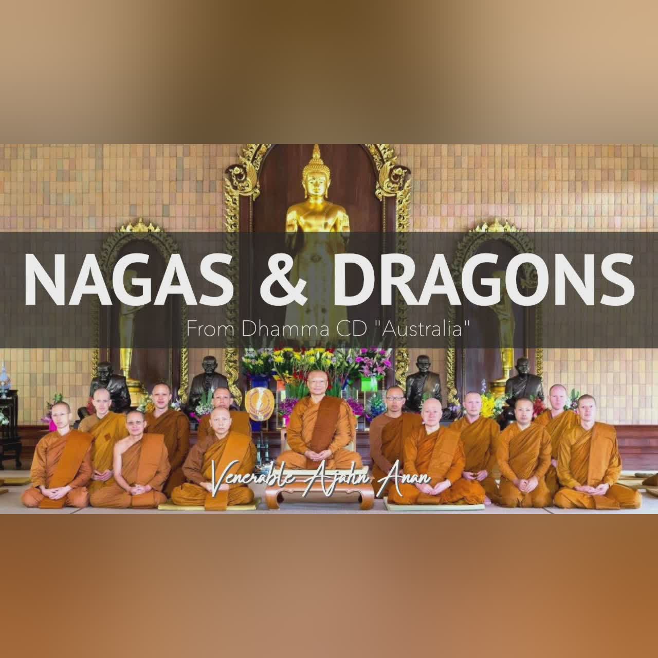 Australia 22: Nagas and Dragons | Ajahn Anan