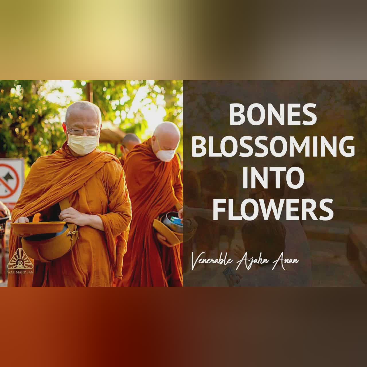 Bones Blossoming into Flowers | Ajahn Anan | 23 Apr 2020