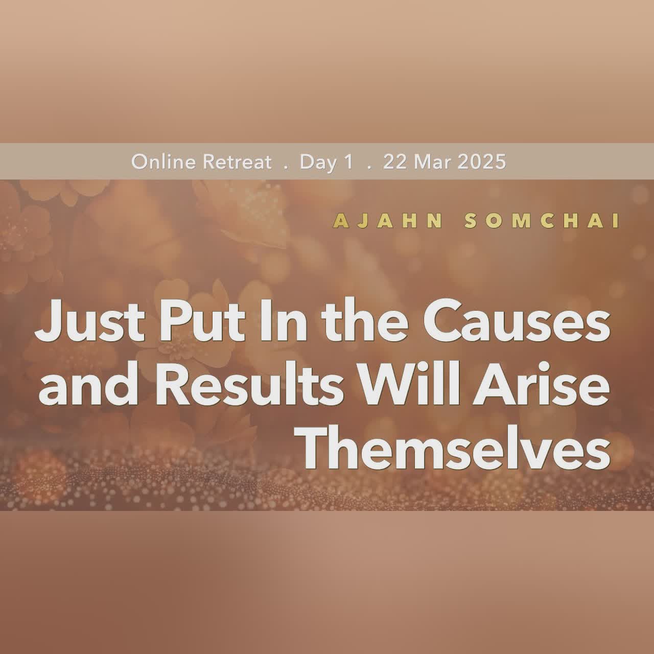 Just Put In the Causes and Results Will Arise Themselves | Retreat Mar 2025 | Ajahn Somchai