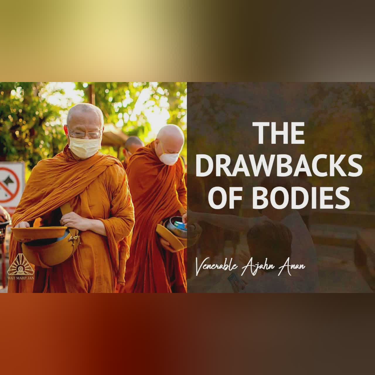 Shining Light into Darkness | Ajahn Anan | 21 Apr 2020