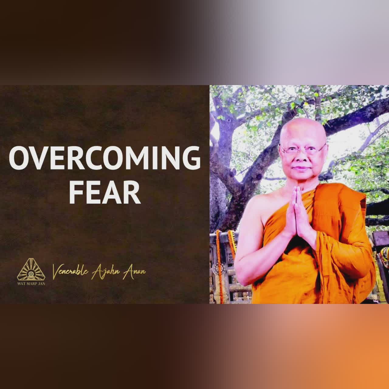 Overcoming Fear | Ajahn Anan | 09 Mar 2022