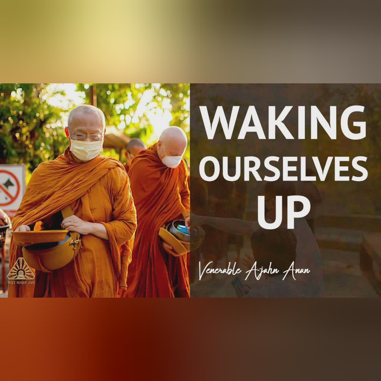 We Can All Do It | Ajahn Anan | 14 Apr 2020