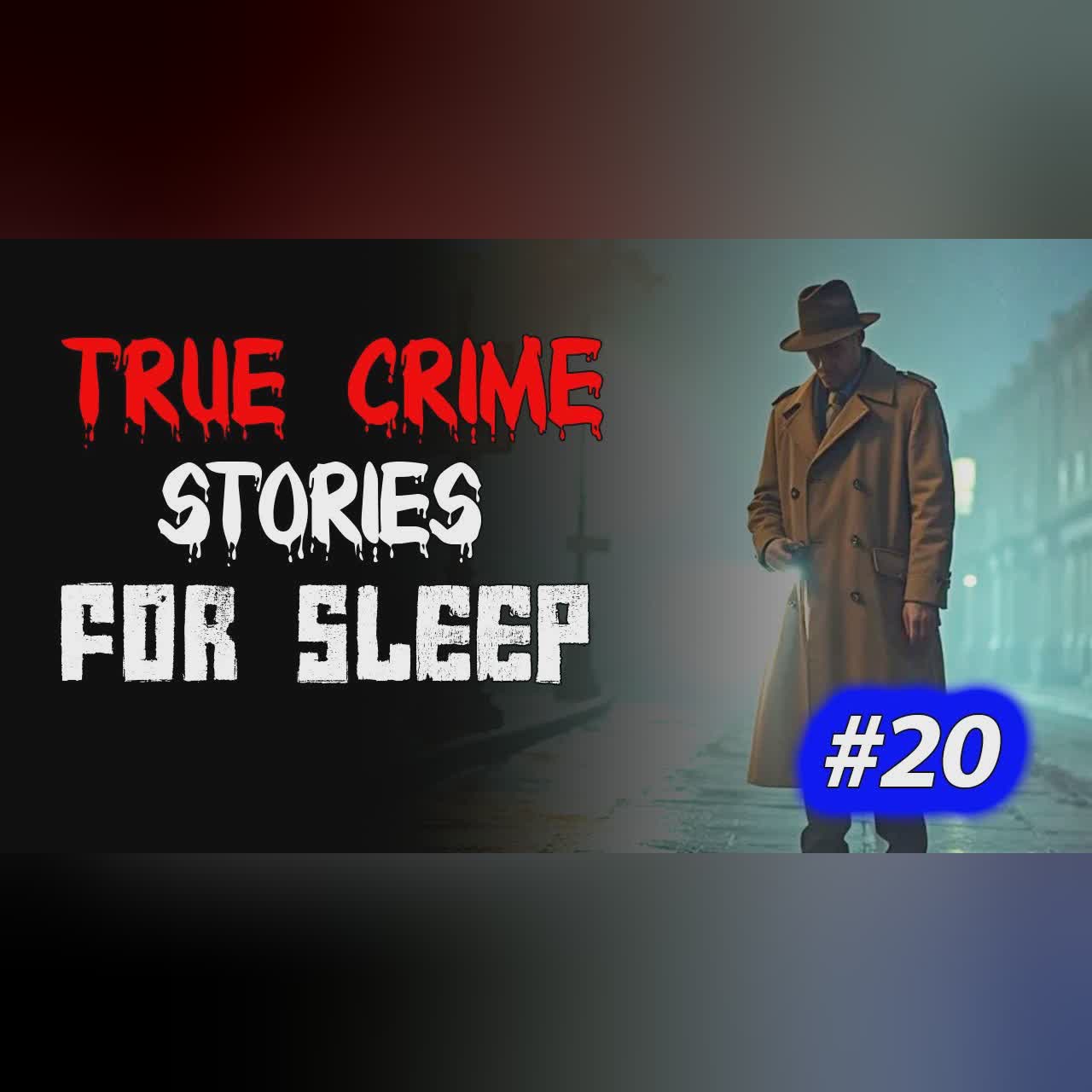 True crime Stories Told to the Sound of Rain | Relax and Fall Asleep Quickly Vol. 20 l Black Screen