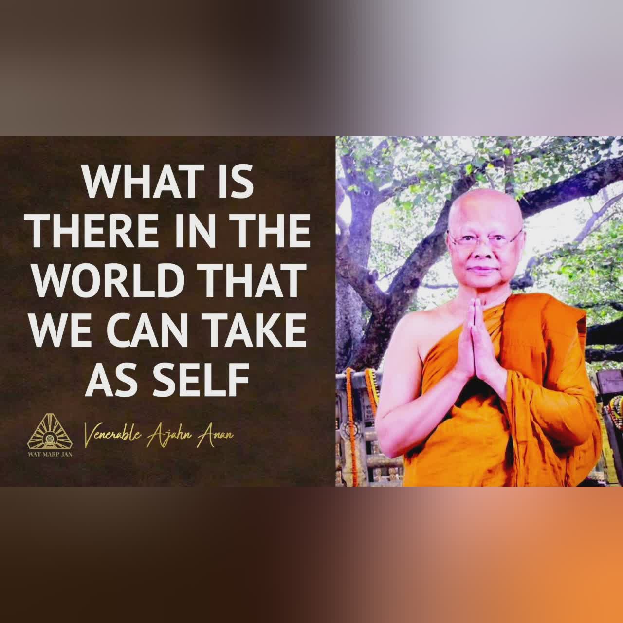 Seeing Clearly Into the Dhamma | Ajahn Anan | 03 Mar 2022