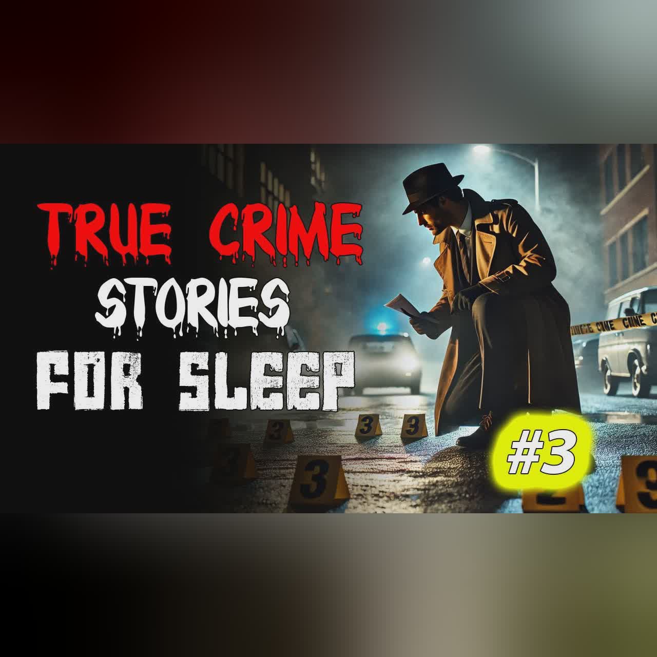 True crime Stories Told to the Sound of Rain | Relax and Fall Asleep Quickly Vol. 3 l Black Screen