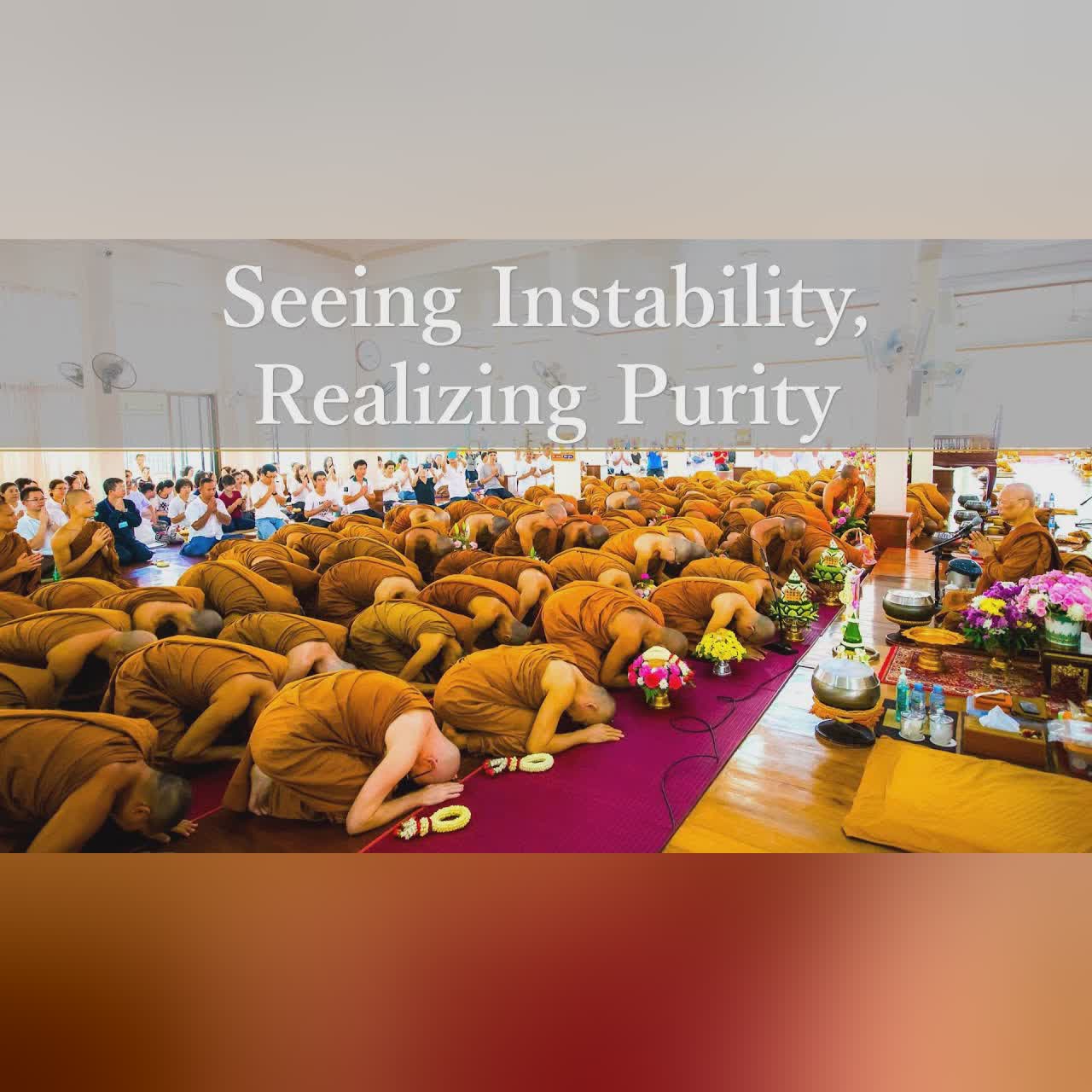Seeing Instability; Realizing Purity | Ajahn Anan